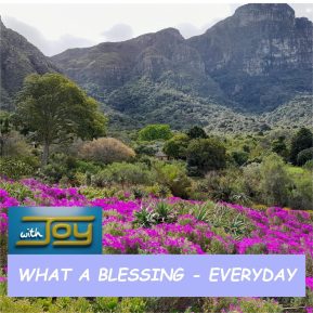 Album-1-Visio-2-600x600-1-2048x2048